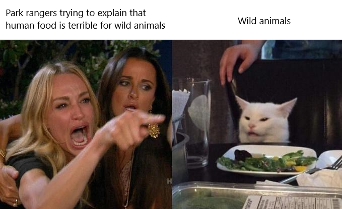 The animals don't know better, so it's up to us humans to DO better. Keep wildlife wild by keeping your cheese puffs to yourself. #MondayMood