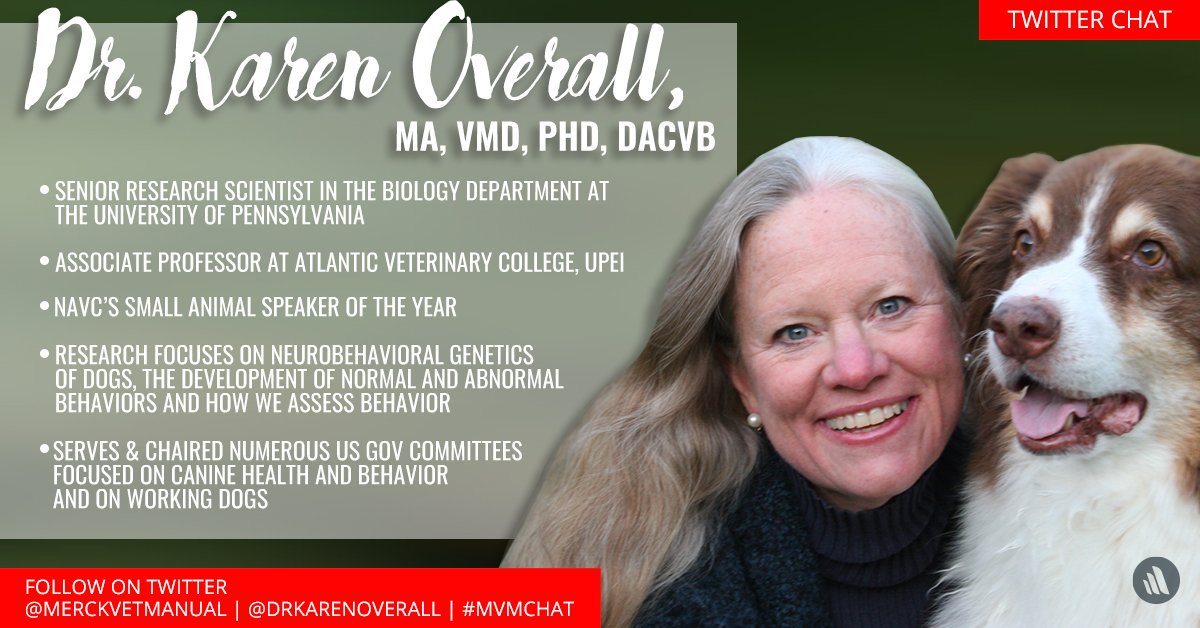 MerckVetManual's tweet photo. Besides the below on @DrKarenOverall... did you also know that She has served on the faculties of both the veterinary + medical schools at the University of Pennsylvania where she has taught undergraduates, graduate students, + professional students? #MVMchat https://t.co/dKjvjfFtfe