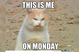 thecallbar's tweet photo. Let's make this Monday a Funday! Come see us in #Andersonville at @thecallbar! We promise vodka makes this grumpy face disappear! #instagay #gaybar #chicagobar #gaychicago https://t.co/qgZfiER7QK