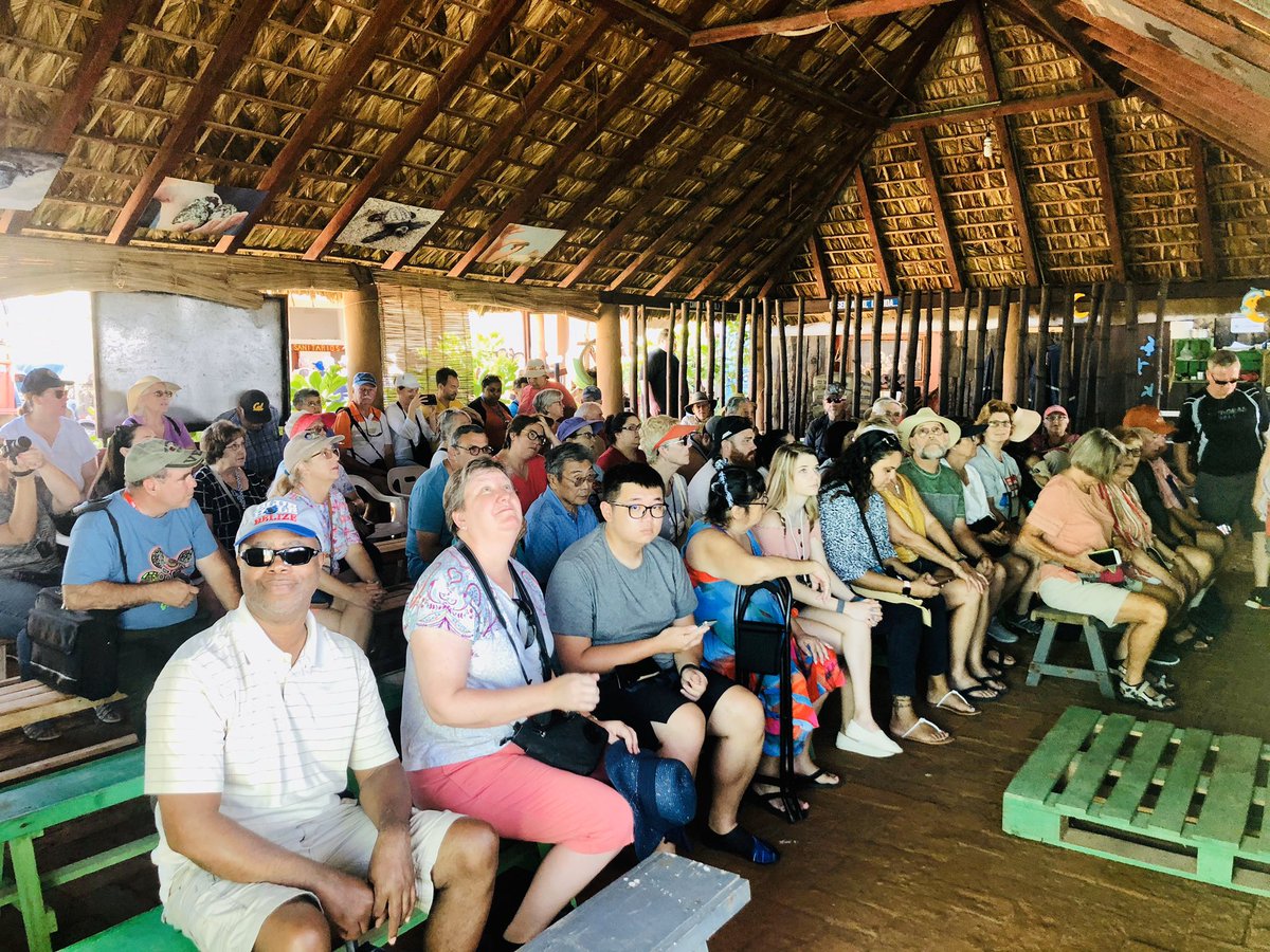 alexfinerooster's tweet photo. Guiading Our Cruise Ship Passengers @VisitAcapulco  From @CruiseNorwegian #NorwegianJoy “Endangered Baby Sea Turtles &amp; City Tour” Shore Excursion Provided By @TotalGusto  @FCCAupdates  @SECTUR_mx @Sectur_Guerrero @Sectur_Acapulco  #DejateGuiarPorAcapulco #LocalExpertAcapulco https://t.co/jMlfkqZTMd