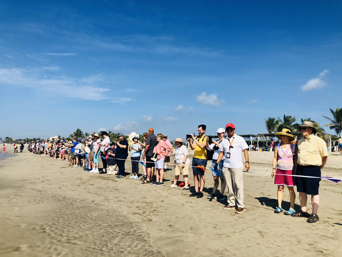 alexfinerooster's tweet photo. Guiading Our Cruise Ship Passengers @VisitAcapulco  From @CruiseNorwegian #NorwegianJoy “Endangered Baby Sea Turtles &amp; City Tour” Shore Excursion Provided By @TotalGusto  @FCCAupdates  @SECTUR_mx @Sectur_Guerrero @Sectur_Acapulco  #DejateGuiarPorAcapulco #LocalExpertAcapulco https://t.co/jMlfkqZTMd