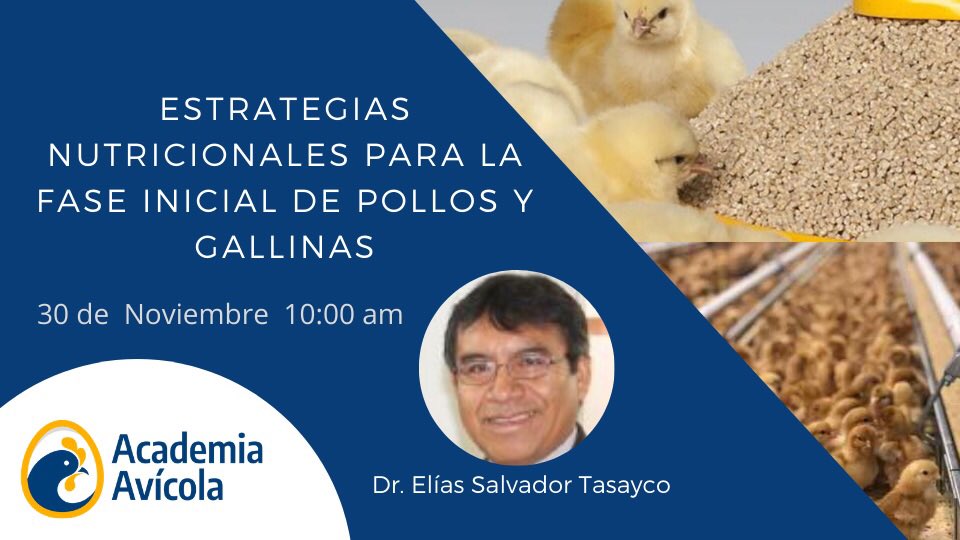 ABCAvicola's tweet photo. Nos complace presentar nuestro próximo webinar, a cargo del Dr. PhD. Elías Salvador Tasayco
Mayor información en el siguiente enlace:
https://t.co/0l6SDMsKuz…
#nutricionavicola #webinar #pronutri #lima #peru #poultry #avicola https://t.co/PCdCi4vV1F