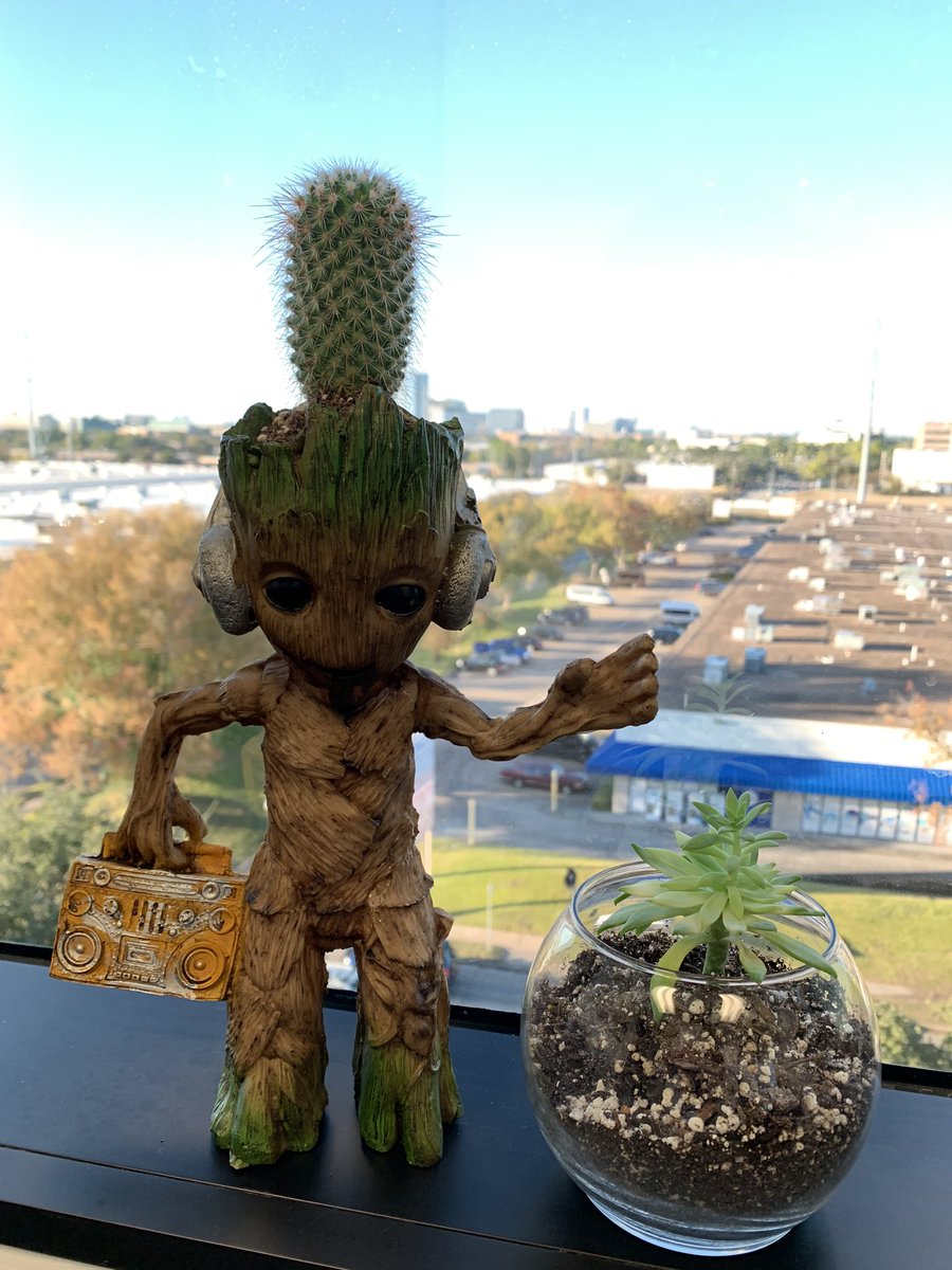 macedocorp's tweet photo. A little preview of our team members plants around the office 🌱 
.
.

#macedocorp #bookkeeping #payroll #houston #houstonbusiness #cityview #niceweather #houstonweather #groot #succulents #cactus #plants #ecofriendly #guardiansofthegalaxy https://t.co/UTvJTUXn8D