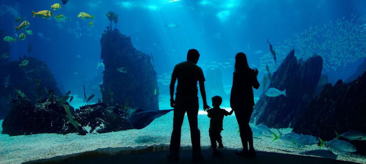 Visit our friendly neighbors at the Virginia Aquarium &amp; Marine Science Center and experience the magic that's beneath the sea. 
.
.
.
#VirginiaBeach #HamptonInnVABeach #virginiabeachoceanfront