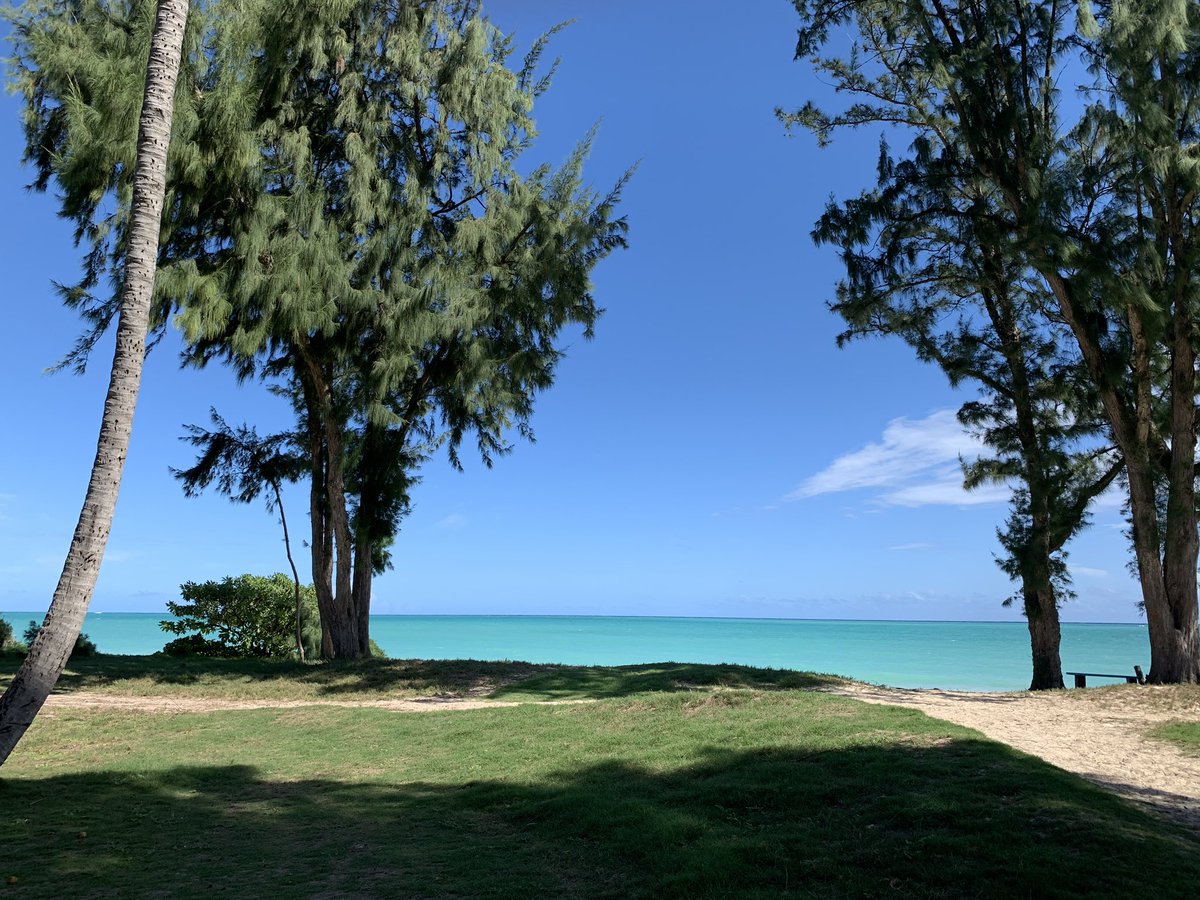 stellagioia's tweet photo. Now how am I supposed to even think about going home after seeing and enjoying something like this?? #NotYourAverageMonday #Paradise #Hawaii https://t.co/laJOrkUcet
