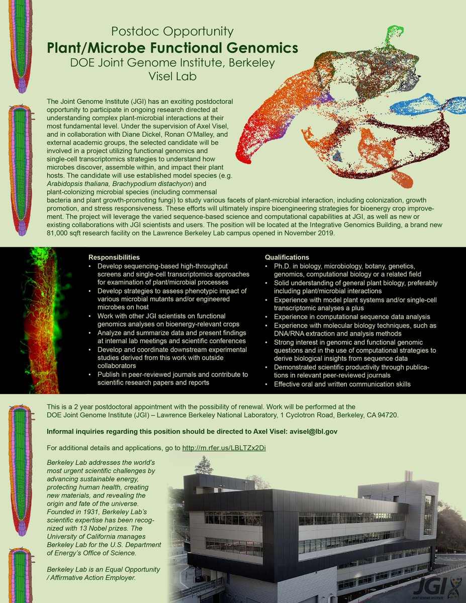 Attention 🦠🍄🌱 lovers:
Who wants to do a postdoc with me?

Plant-microbial interactions. Barcode-enabled in vivo colonization screens. Single-cell transcriptomics. Should be fun.  

(sorry, no 🐭 in this project)

dna.lbl.gov/wp-content/upl…