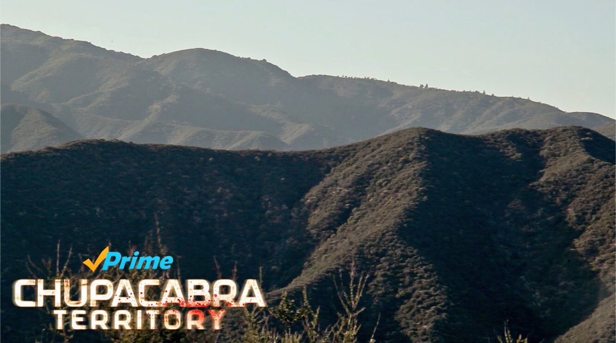 Chupacabra Territory tweet media