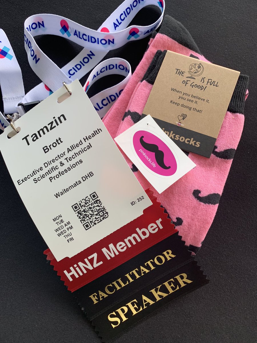 TamzinBrott's tweet photo. Super excited to be invited into the #pinksocks tribe with the amazing @beckygeorge06 by @karenlbnz as we head into day two of Digital Health Week with the Clinical Informatics Leaders Network advisory panel and network meeting #HiNZ2019 #DHW2019 #CiLN https://t.co/wZjzUMzAYF