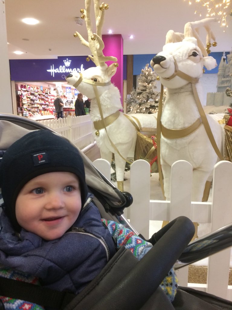 simonscholes77's tweet photo. Got out for a few hours today while on #daddydaycare duties. The wee man loved these guys in @KennetCentre Now he’s asleep it’s time to smash some client content before hitting the sack. Up super early to be in Birmingham for 7:30am for #successresourcesuk https://t.co/eVOBargSoj