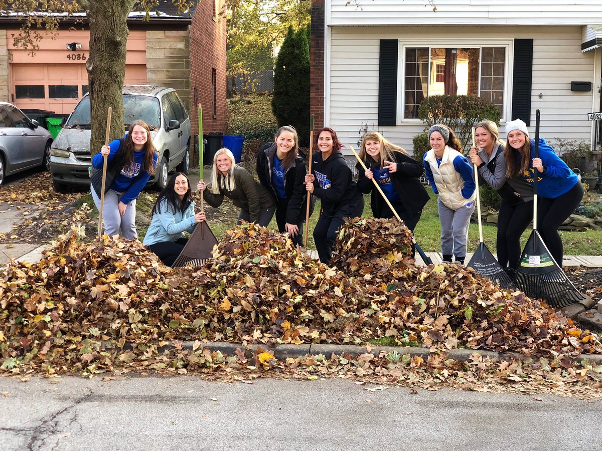 NDCSAAC's tweet photo. WHAT A BEAUTIFUL TO DAY TO GIVE BACK!

check out these wonderful ladies of @NDCsoftball that went out into our community to rake some leaves 👏👏👏👏👏👏👏👏👏👏👏👏

keep it up falcons - we are so proud! #MECgivesback #letsfalcongo https://t.co/KeRppYFrjI
