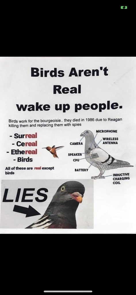 tomsegura's tweet photo. While we investigate this #Epstein mess, I hope we don't give a pass to #birds. https://t.co/tv0zJBRGVl