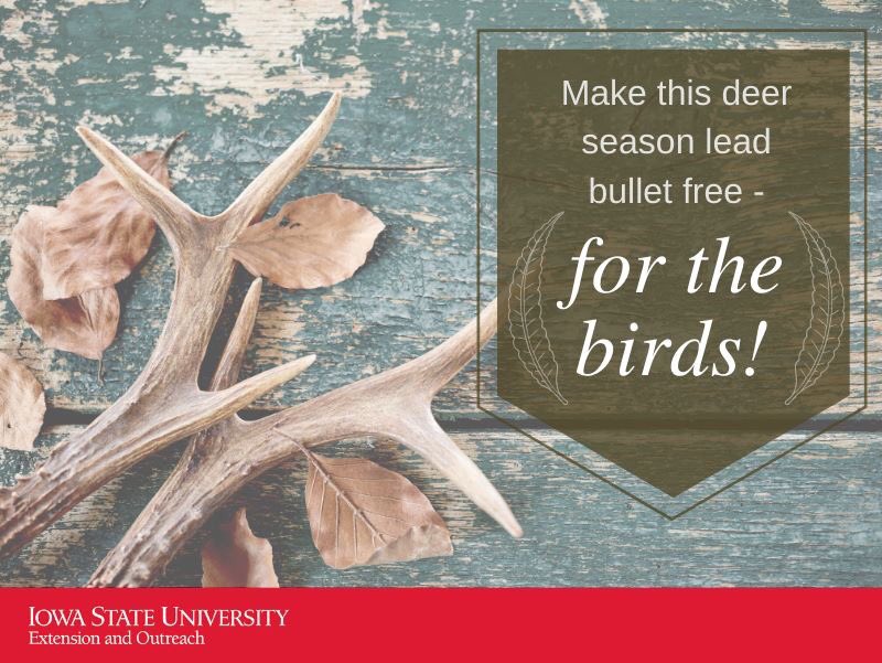 ISUExtension's tweet photo. Read the evidence from our #ExtensionExpert @adamkjanke &amp; @iowadnr 
• https://t.co/w67LokJIDZ #iowastate #deerhunting #deerseason #leadfree https://t.co/GESaX7vD8e