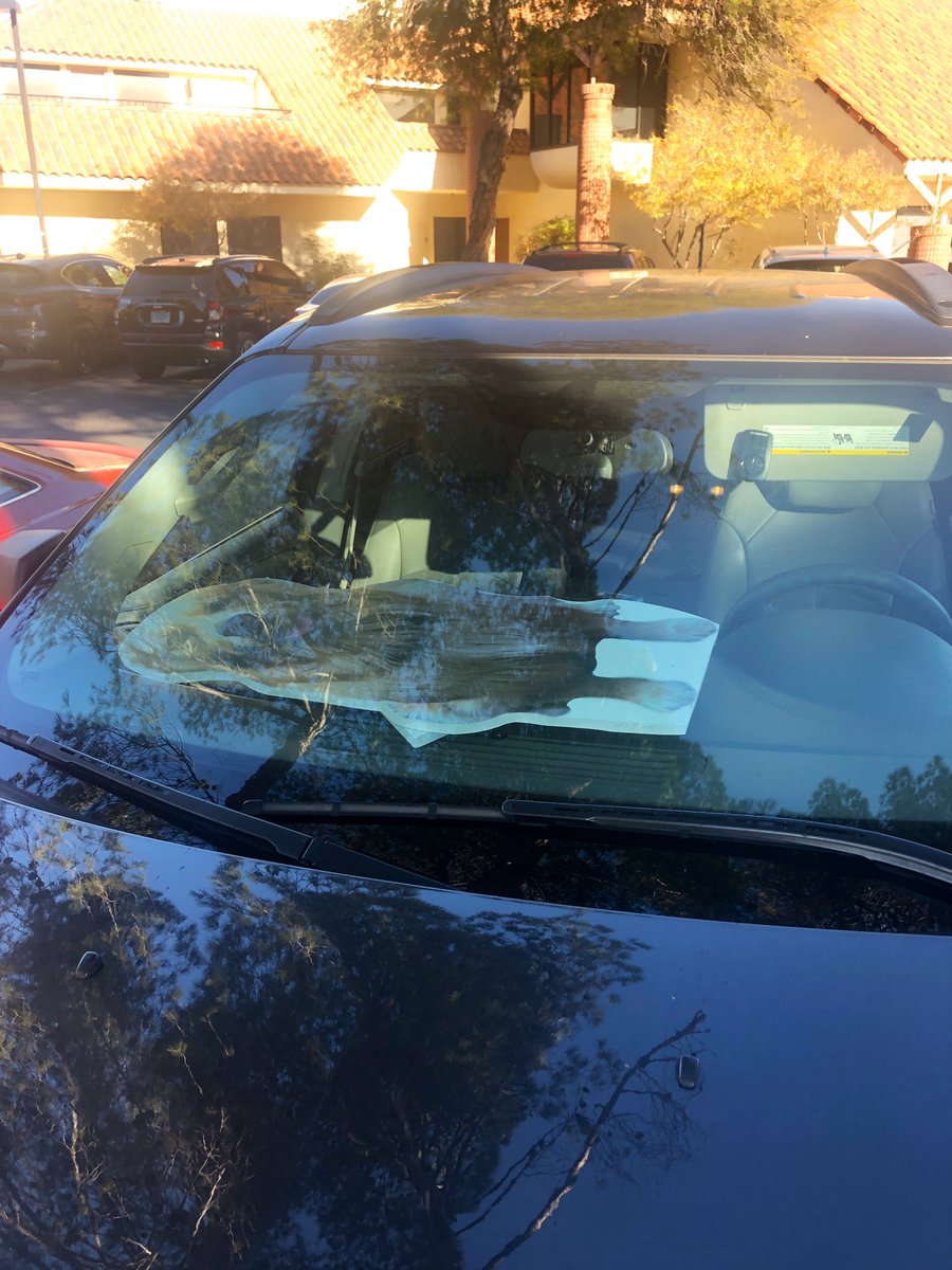 suzytweet's tweet photo. Normal dashboard decor for #FITW19. https://t.co/f2A3uLZozj