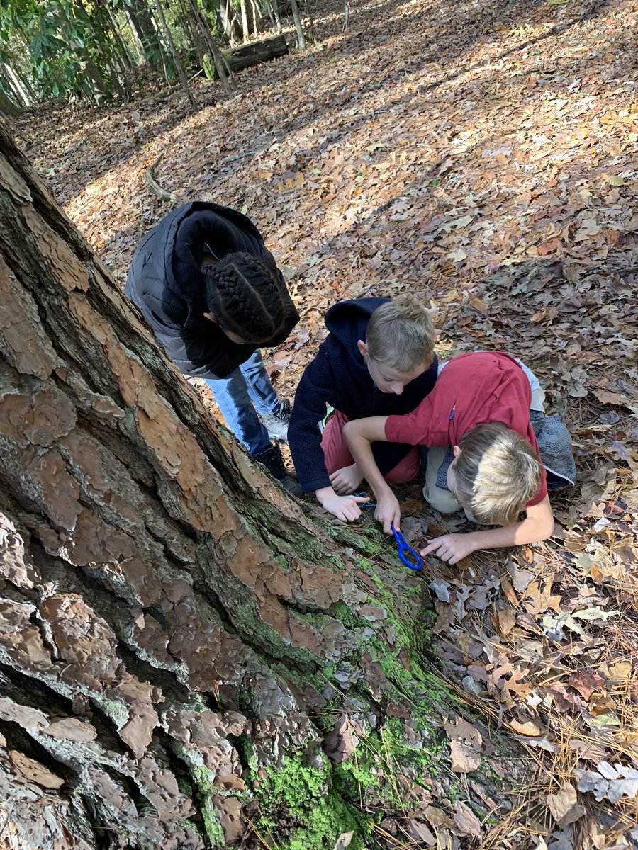 MadlemCorrie's tweet image. I am grateful for beautiful fall leaves, children learning in nature, and a wonderful field trip. #SPARKgratitude @APS_SPARK