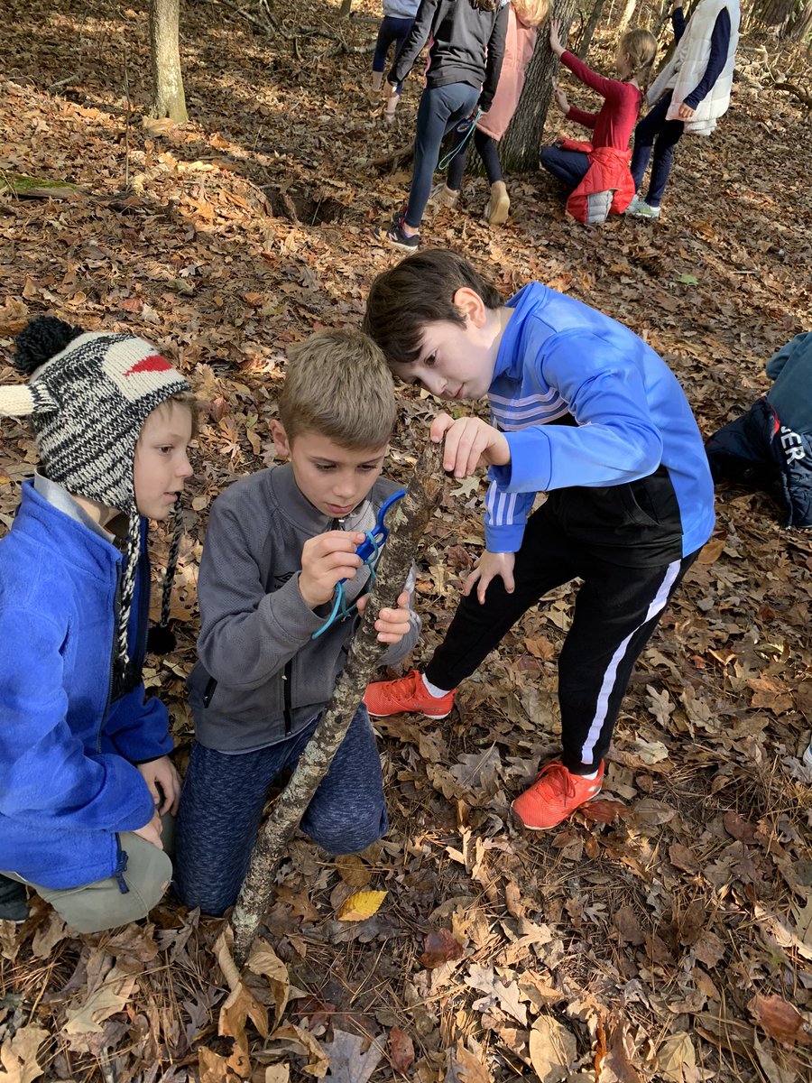 MadlemCorrie's tweet image. I am grateful for beautiful fall leaves, children learning in nature, and a wonderful field trip. #SPARKgratitude @APS_SPARK