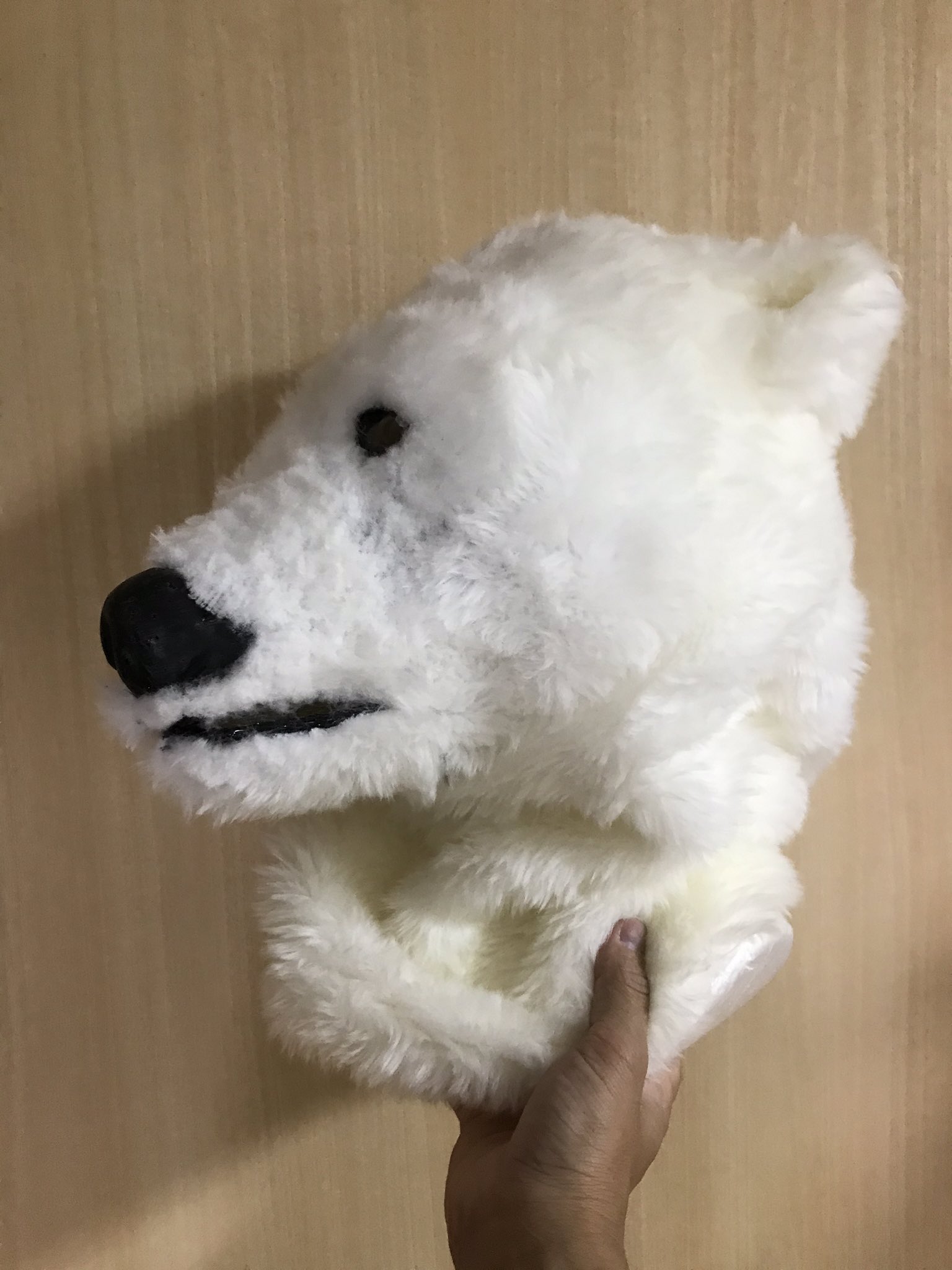 デゴチ シロクママスクの下地と毛皮 の裏側に塗装をしました ホッキョクグマの肌は黒いので下地を黒く塗っておくと肌の黒さを表現できます 乾燥させたらあとは毛皮を縫って下地に貼り付けます シロクママスク T Co Phlcewfegs Twitter