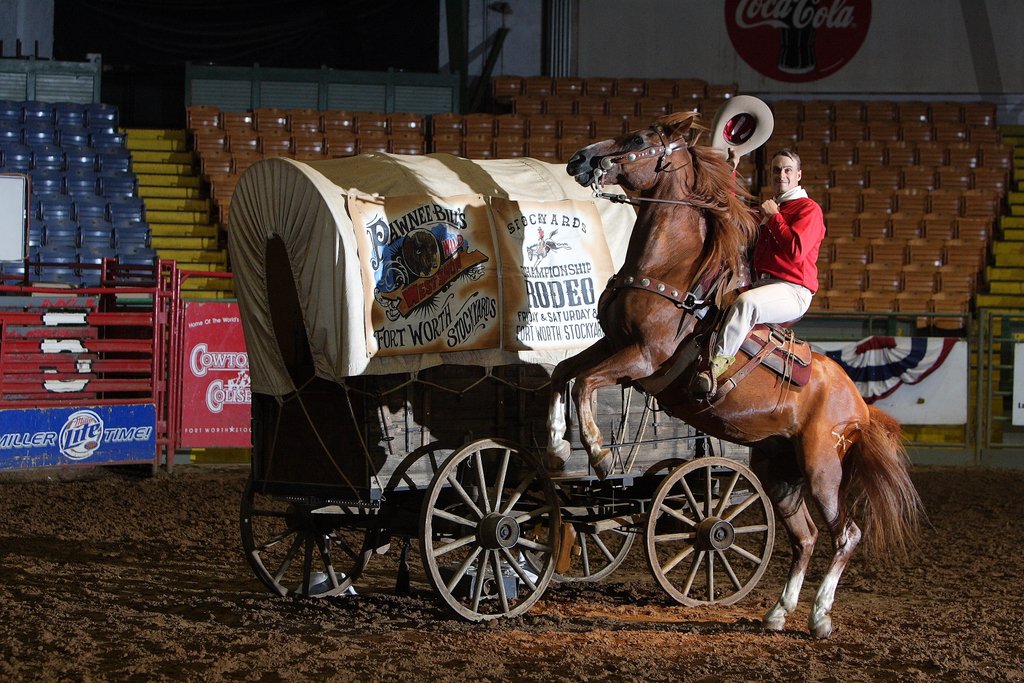 The Herd loves having the <a href="/StockyardsRodeo/">Stockyards Rodeo</a> right next door. Thank you for going above and beyond in supporting the #FortWorthHerd. ❤️⁠

PC📸 (2nd photo): <a href="/LolaHardisty/">Lavender Pathways Photography</a>
⁠
#ThankfulHerd20⁠
