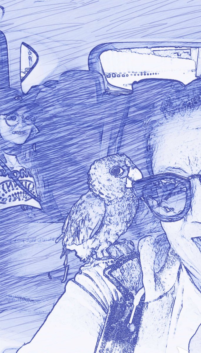 carocisne7's tweet photo. Vamos de paseo 😁😁 @karolsevilla 👸 #pepe 🦜 https://t.co/88Cey4ENFE