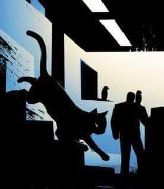HeroCatComics's tweet photo. Midnight Monday! #herocatsonline #cats #Comics #MidnightOverStellarCity #MidnightMonday #BlackCat #ClawsofJustice https://t.co/41lrRiUaQM