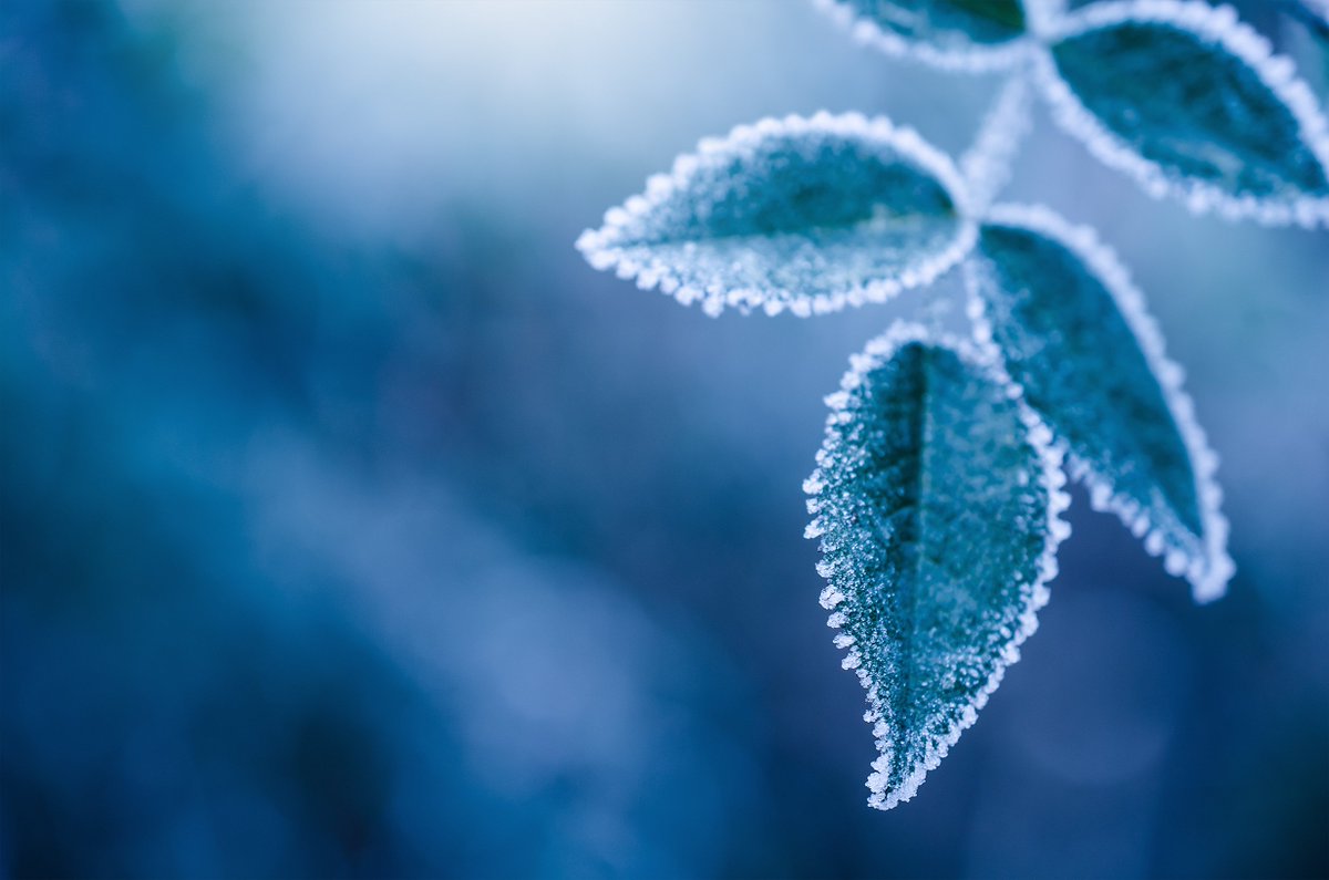 metoffice's tweet photo. 🏮BREAKING NEWS🏮
Temperatures have fallen to -9.1 °C at Tyndrum in Perthshire, making it the coldest night of the #autumn so far!
And it's not even midnight... https://t.co/gPmni1EJWN