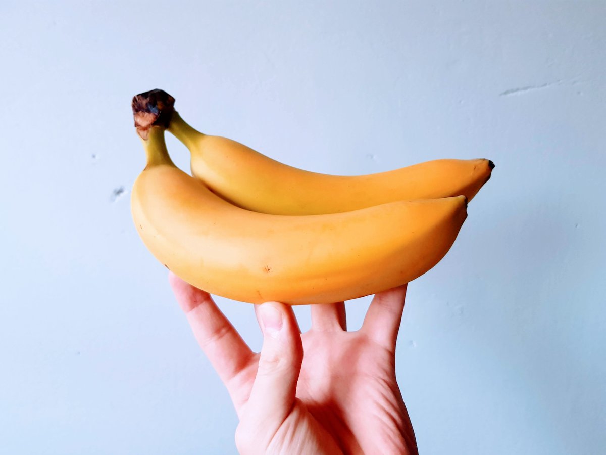 HydrojenMusic's tweet photo. That is one chonky #banana 🍌 https://t.co/MG3ZyW75xe