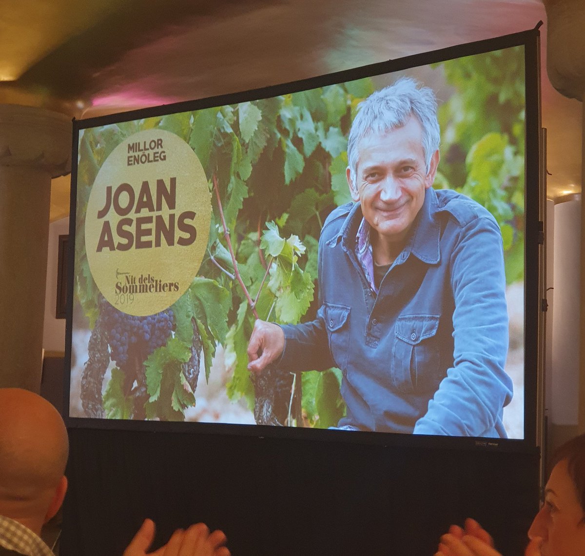 Sole G.Insua tweet media