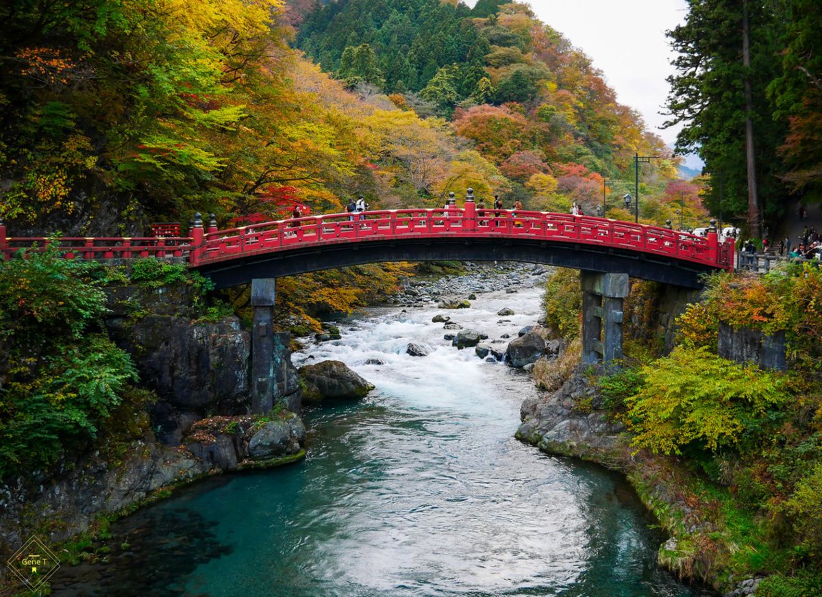 Japan_In_Image's tweet photo. Constructed in 1636, Shinkyo stands at the entrance to Nikko's shrines and temples.
It is ranked as one of Japan's three finest bridges.
📷Eugene Fanyfied
#japan #japantravel #shinkyo #bridge #nikko https://t.co/h8IsvhwUXG
