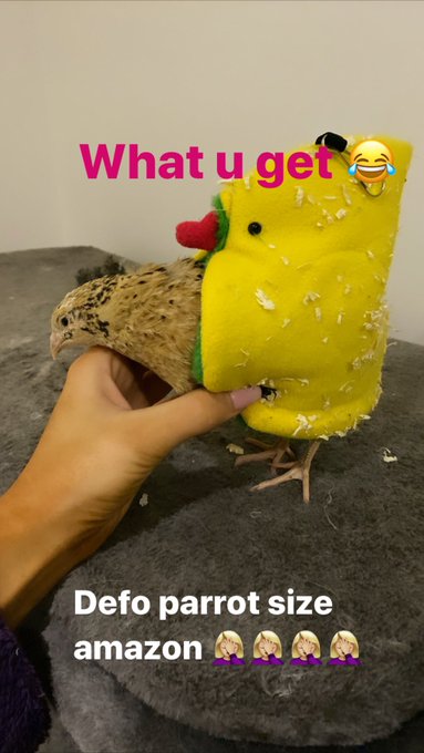 Bad photoshop got me @itsdanianderson I thought I was buying a parrot (macaw) sized bed 😂😳 @amazon #amazon<a class="tags" target="_blank" title="On Twitter" href="/?out=eyJ0eXAiOiJKV1QiLCJhbGciOiJIUzUxMiJ9.eyJpYXQiOjE3MjI2MjUwODYsImlzcyI6InR3cG9ybnN0YXJzLmNvbSIsIm5iZiI6MTcyMjYyNTA4NiwiZXhwIjoxNzU0MTYxMDg2LCJyZWRpcmVjdF91cmwiOiJodHRwczovL3R3aXR0ZXIuY29tL2l0c2RhbmlhbmRlcnNvbiJ9.5HnIN2Gn6ZdA9NsDAJj54aw6BzjfA9tcvYWyZFxHoUeNMzf5FE32h9juKMWcuSsV9CvlSny786y-NKjQOZdzYQ">@itsdanianderson</a><a href="/tag/amazon"class="tags"><span>#amazon</span></a><a href="/tag/readthedets"class="tags"><span>#readthedets</span></a>