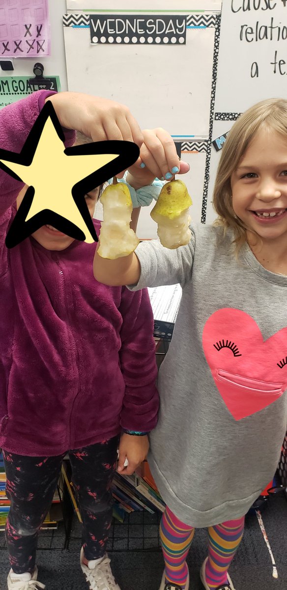 MsBartochowski's tweet photo. What better coincidence when introducing homophones to have a PAIR of PEARS?!? #dadjokes #grammarrocks #publiced @WinfieldElem #2ndgrade https://t.co/jsiSNgK0Pf