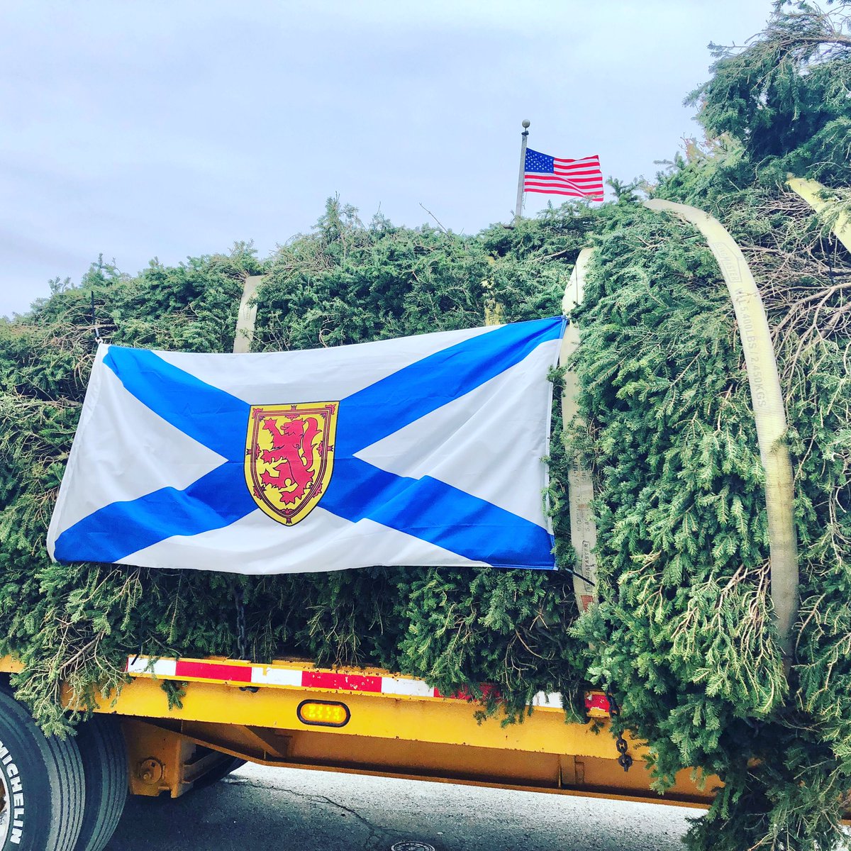missobrienweav1's tweet photo. Today the Nova Scotia tree visited Weatherbee school on its way to Boston. I’m so happy that my students had the opportunity to learn about the Halifax explosion and our countries’ mutual support. It’s a great time to hear about people building each other up. I was so moved. https://t.co/vhd1gKb5MD