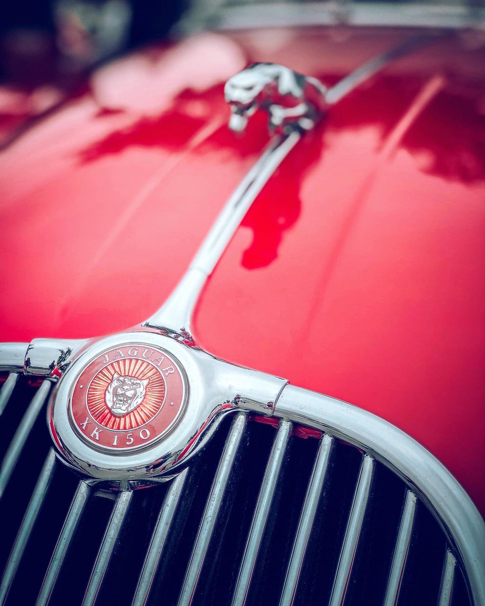 Smart_Home_Bros's tweet photo. .@greg_montgomery took a few shots of this vintage @Jaguar at Cars and Coffee Palm Beach. As much art as automobile.
@Official_CNCPB #AVrides https://t.co/aQw47nxkXO