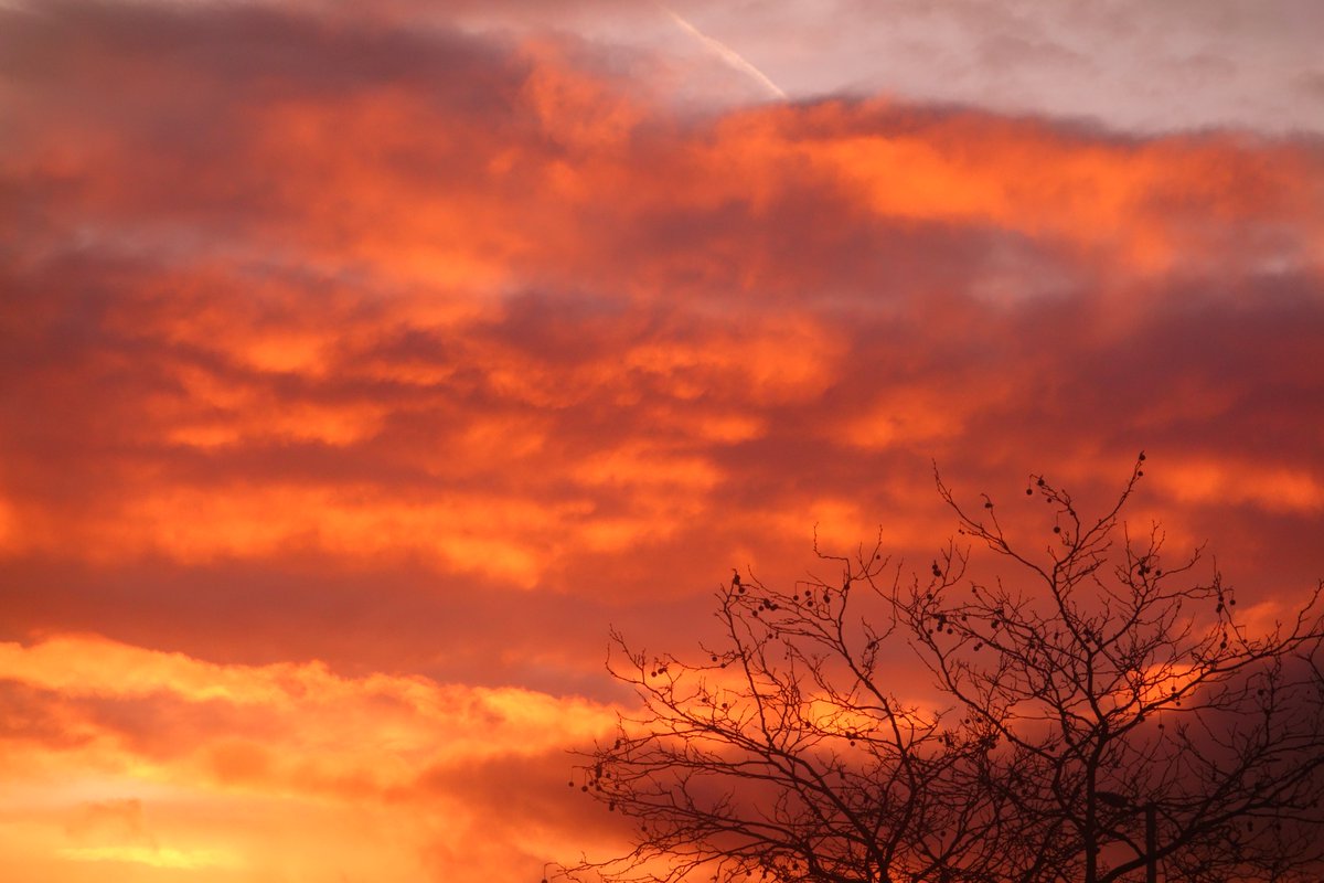 RT @Dave_Roberts3: Sunset colours over Newport, Wales on 19th February 2018 @StormHour #stormhour #potw