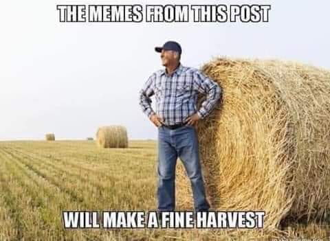 AndLismore's tweet photo. #memes #harvest #post 
#notmyimage https://t.co/MNoakMvwns