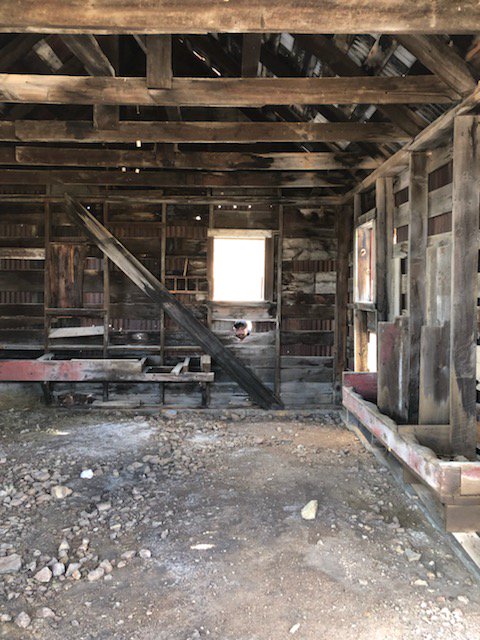 Darkk Mane tweet media