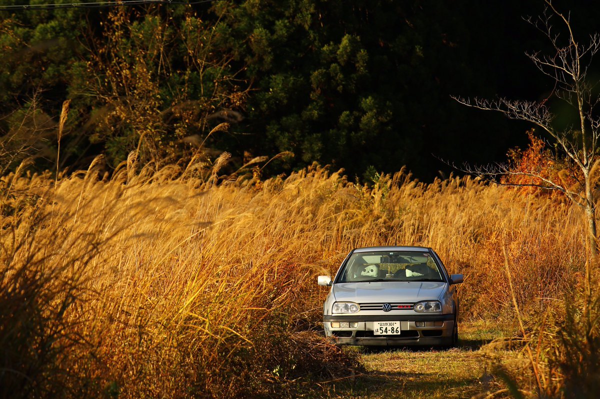 Golf_GTI's tweet photo. 秋 https://t.co/t4Ur2fDoXx