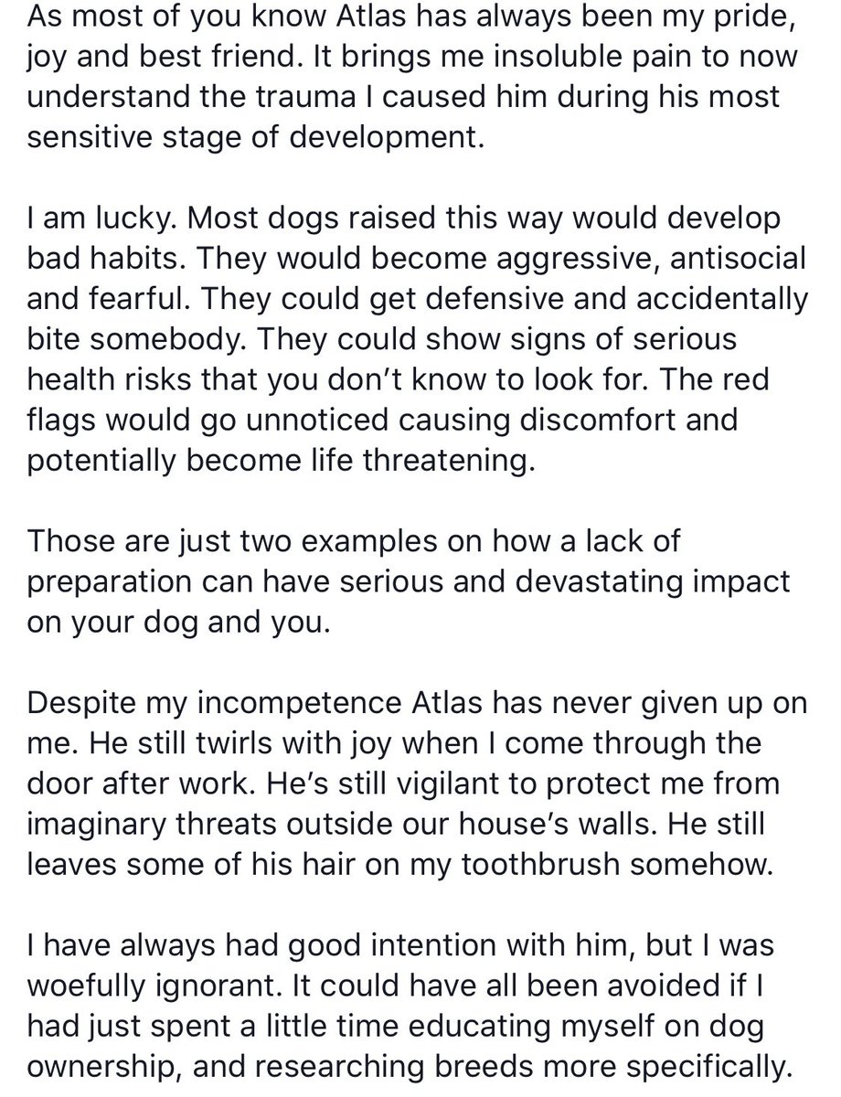 nocody0's tweet photo. Atlas turned 4 yesterday and I have been reflecting on what I’ve learned and had the thought “wow if I saw me about to adopt atlas I probably would’ve stopped me.”

‘Why? I thought you loved your him!?’

Let me explain

(I spent a lot of time on this if you can’t tell) https://t.co/ZNRI8w8NXA