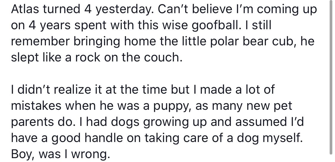 nocody0's tweet photo. Atlas turned 4 yesterday and I have been reflecting on what I’ve learned and had the thought “wow if I saw me about to adopt atlas I probably would’ve stopped me.”

‘Why? I thought you loved your him!?’

Let me explain

(I spent a lot of time on this if you can’t tell) https://t.co/ZNRI8w8NXA