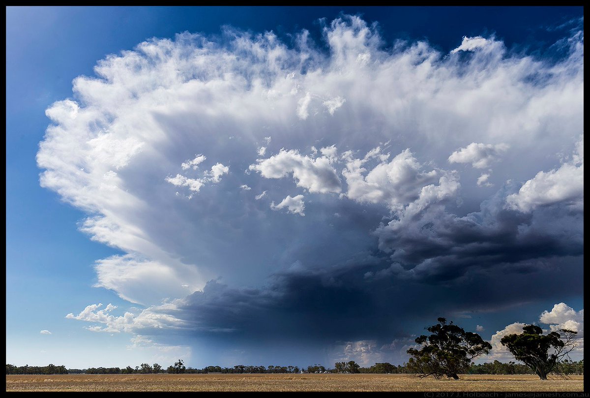 opplevelse's tweet photo. Classic Cumulonimbus, Western Australia @whatsthiscloud  @CloudAppSoc https://t.co/1Gunb4ipIO