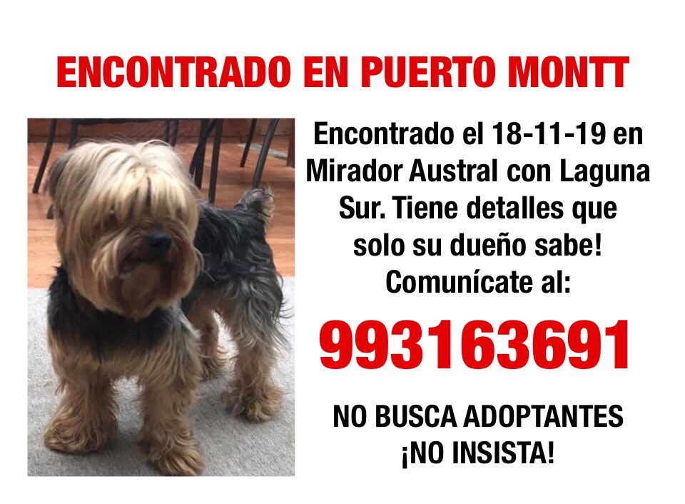 YorkshireTChile's tweet photo. #PuertoMontt https://t.co/O2qPefGm8b