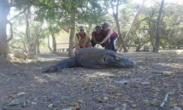 tour_memorable's tweet photo. #komodomemorabletourbalikomodo
#memorablekomodotour
#komdoindonesiatrip
#indonesiaholiday
#komodojourney
#floresjourney https://t.co/9WYoM74VTY