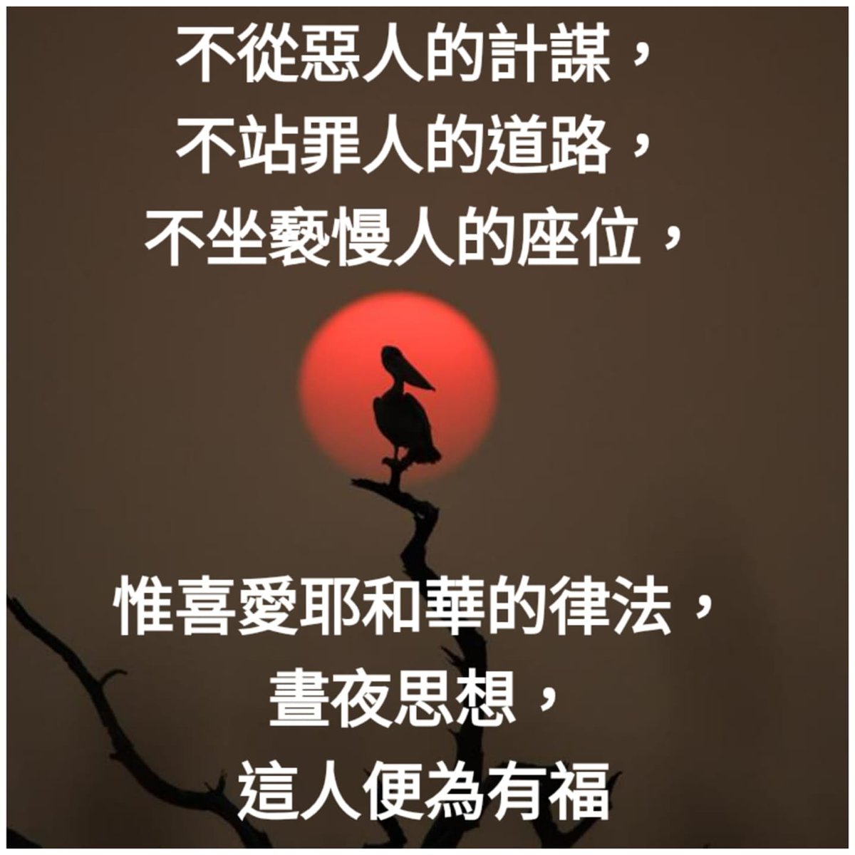 wang wei chen (@wangweichen9) on Twitter photo 