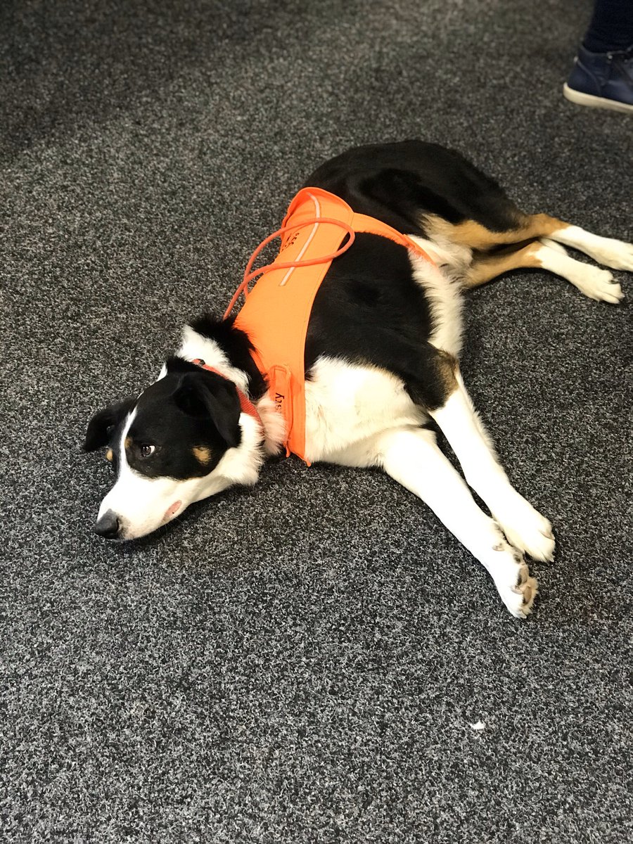 Stella Rackham tweet media