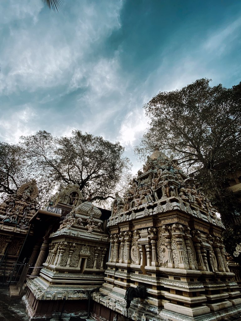 IamThilanka's tweet photo. I think there is no place in the world where I feel closer to the Lord than in one of His holy temples.π«
#AwayWeGo #ExploringSriLanka
#VishnuKovil #VenkateswaraKovil
#SoSrilanka #SriLanka π±π° https://t.co/xzjq6Gzzpe