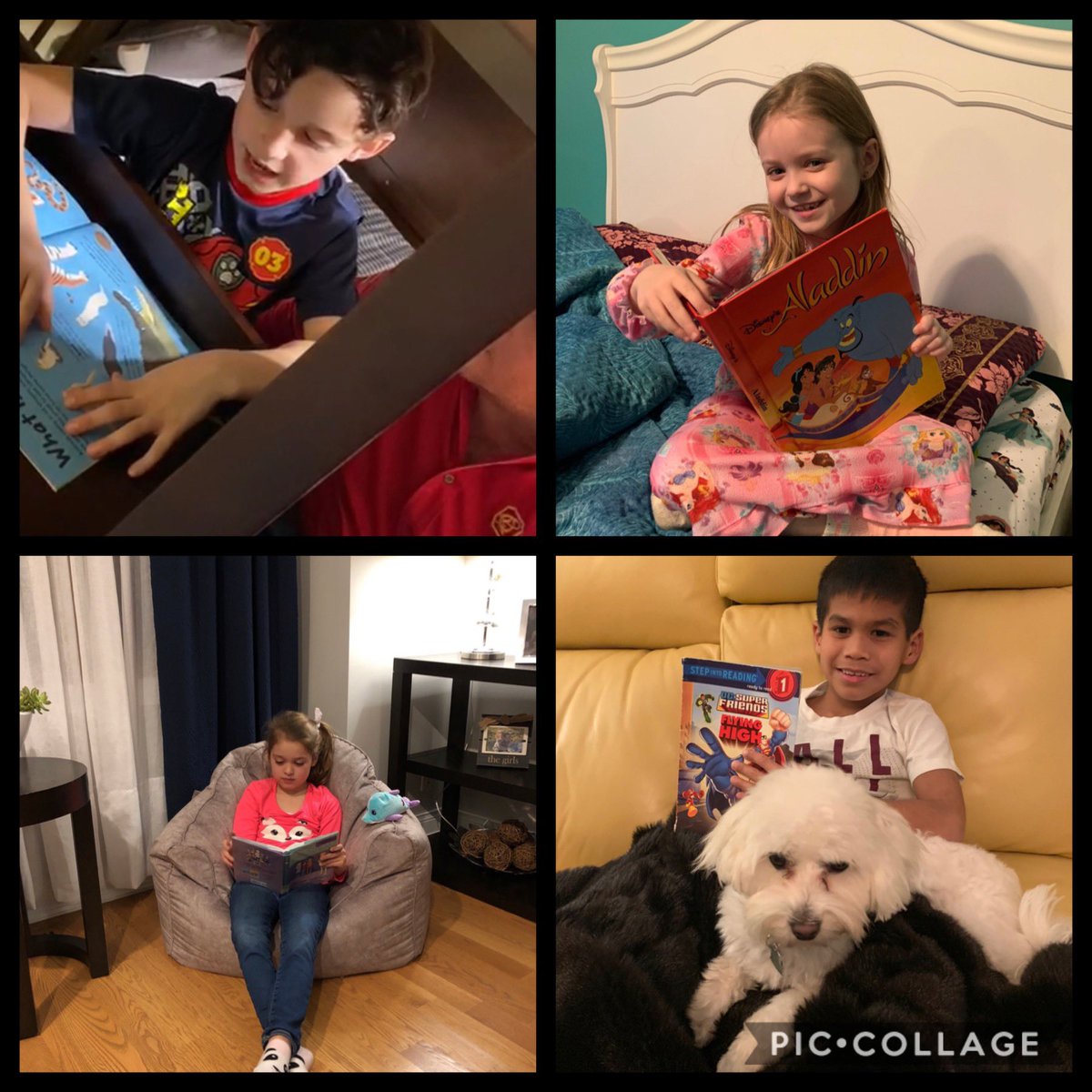 My favorite homework assignment. Send me a picture of you reading in your favorite spot in the house. Adorable! #stjoelockport <a href="/Seesaw/">Seesaw</a>
