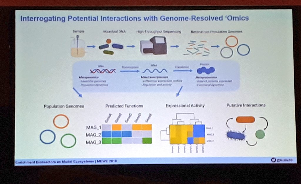kirk3gaard's tweet image. This is pretty good for the people who are not yet long reads wizards - @lizilla93 #mewe2019 #metagenomics #metatranscriptomics