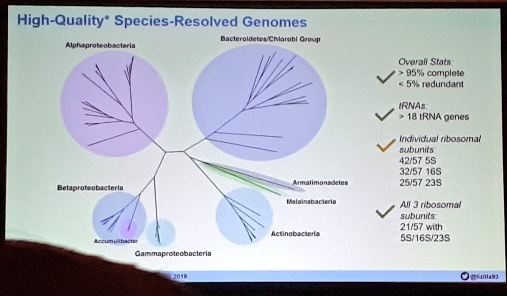 kirk3gaard's tweet image. This is pretty good for the people who are not yet long reads wizards - @lizilla93 #mewe2019 #metagenomics #metatranscriptomics