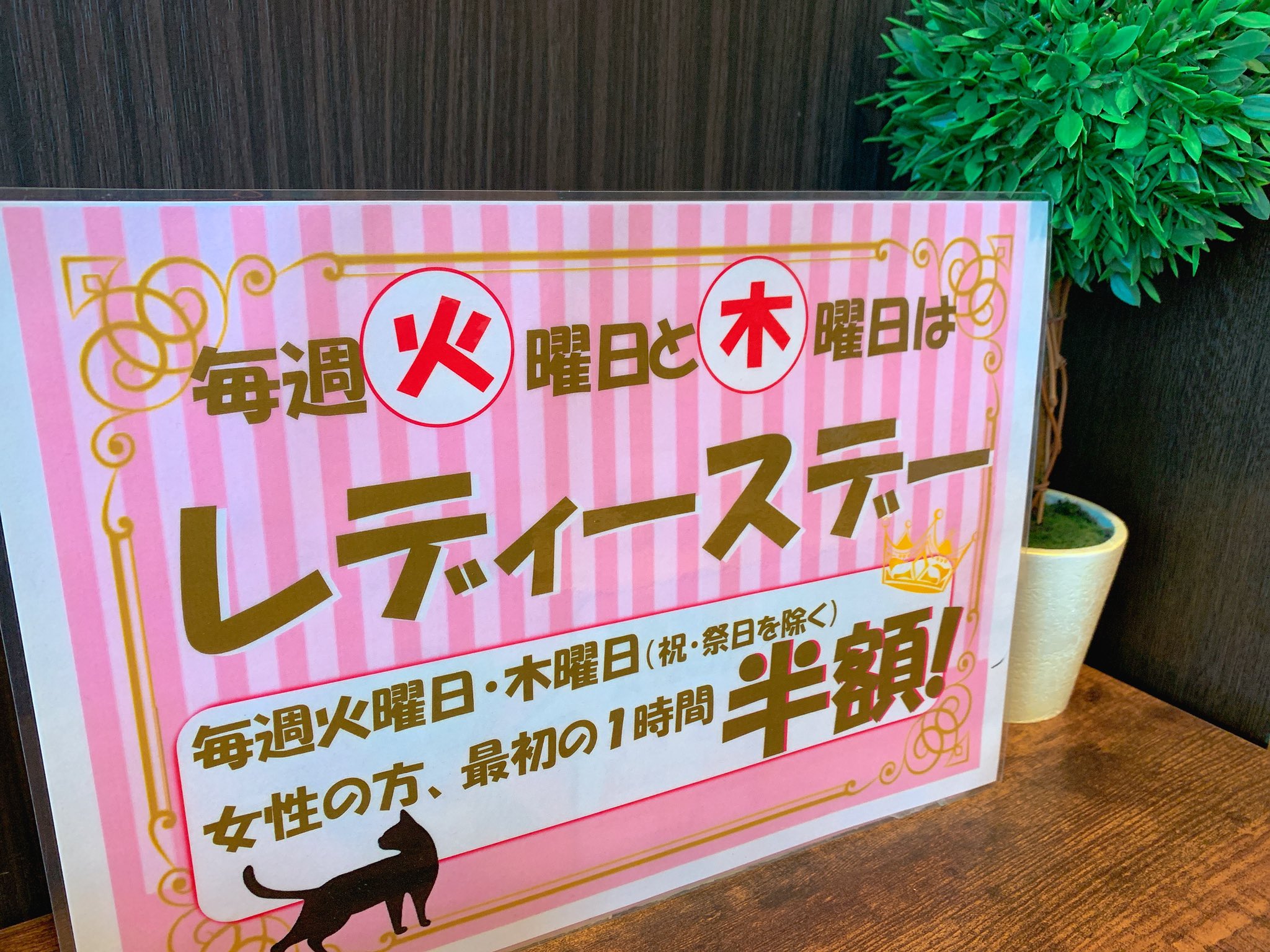 スーパーフリークス青森サンロード店 本日 火曜日はレディースデイ 店内ポカポカです ランチも行ってますよー お待ちしております スーパーフリークス青森サンロード店 フリークス 漫画喫茶 レディースデイ 暇つぶし 一息 雨 青森市