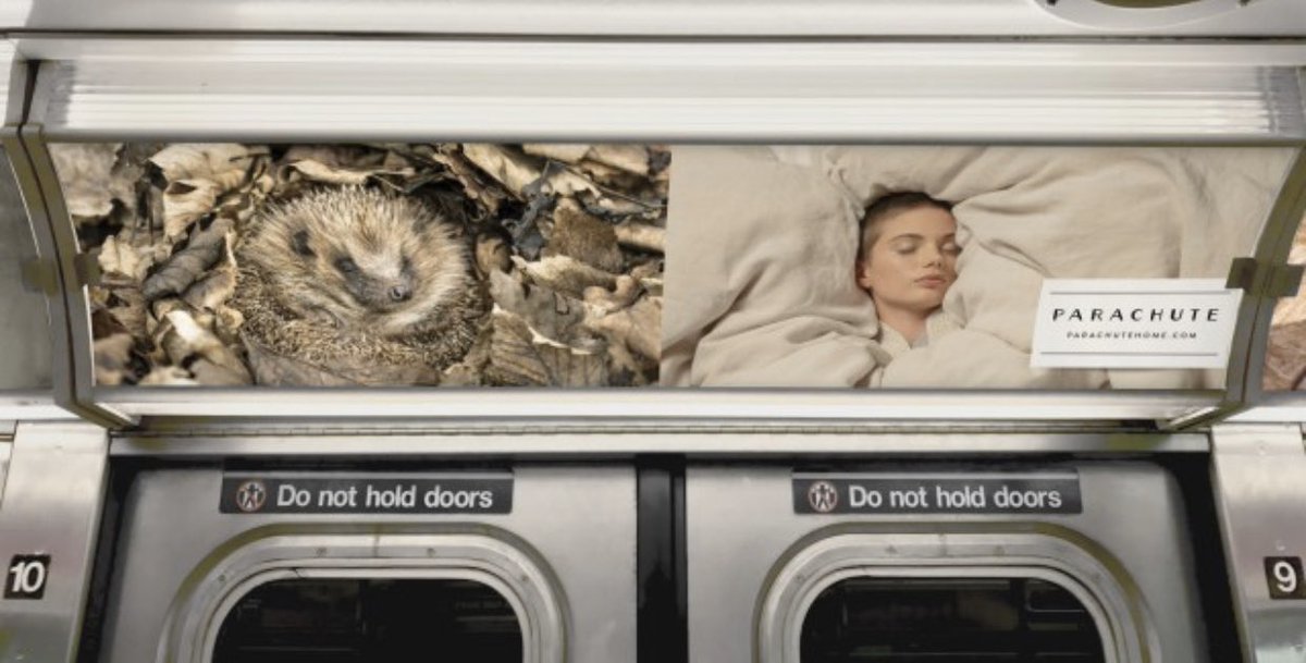 benjaminjparks's tweet photo. There isn’t a single ad that speaks more directly to my soul than @parachutehome’s “Happy hibernating” campaign. https://t.co/6guOYgVo60