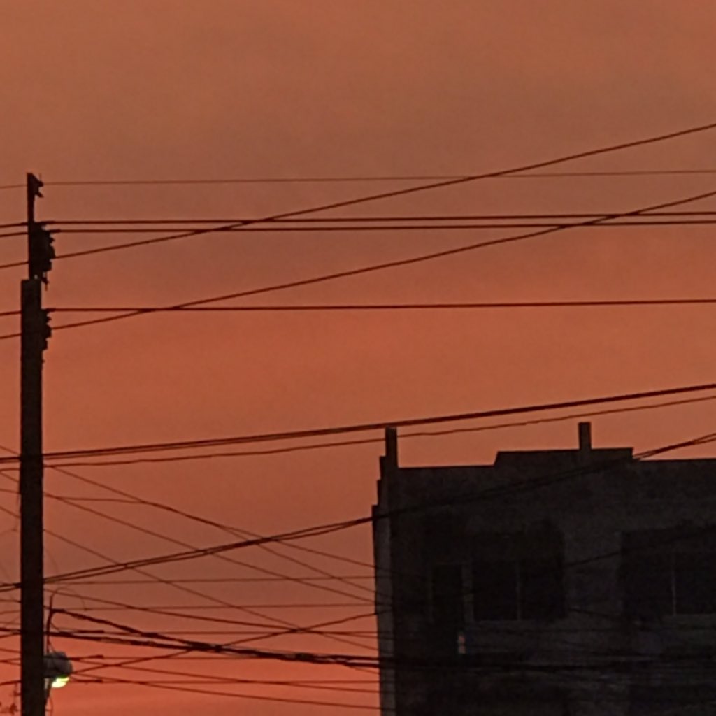blue—summer tweet media