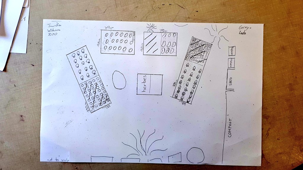 seedlingstories's tweet photo. Garden planning with gr 5/6s in rm 343. I have to research the possibility of growing ginger - that would be interesting! @TDSB_Withrow @WithrowHandS #schoolgarden #gardeningwithkids #mapping #gardenmapping #gardenmath #mathiseverywhere #STEM #gardenplanning https://t.co/PbJ6xS9h2K